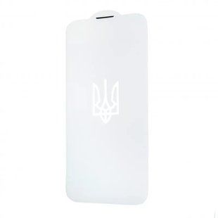UA Full Glue Anti-dust Glass iPhone 13 Pro Max/14 Plus Clear 108839-1 фото